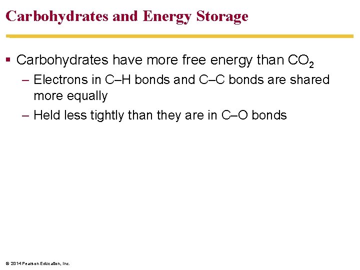 Carbohydrates and Energy Storage § Carbohydrates have more free energy than CO 2 –