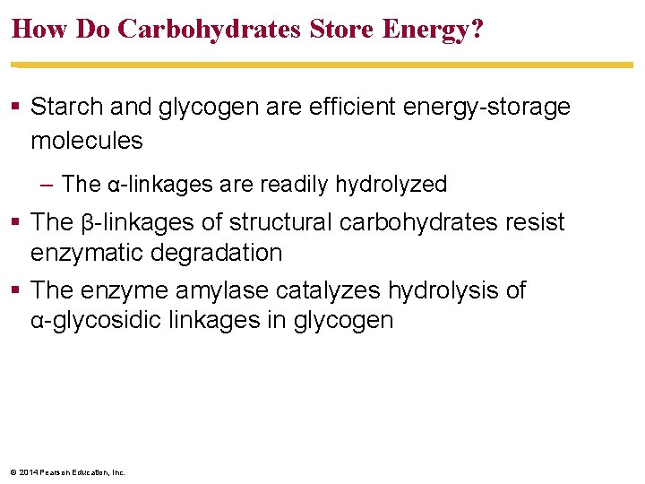 How Do Carbohydrates Store Energy? § Starch and glycogen are efficient energy-storage molecules –