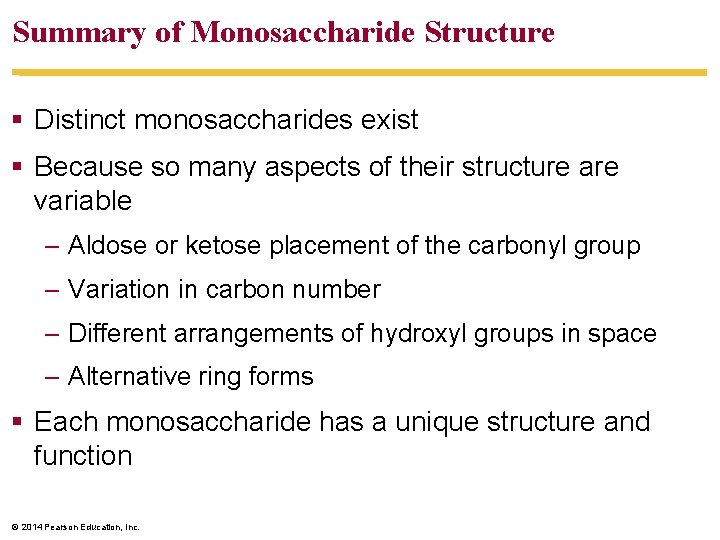 Summary of Monosaccharide Structure § Distinct monosaccharides exist § Because so many aspects of