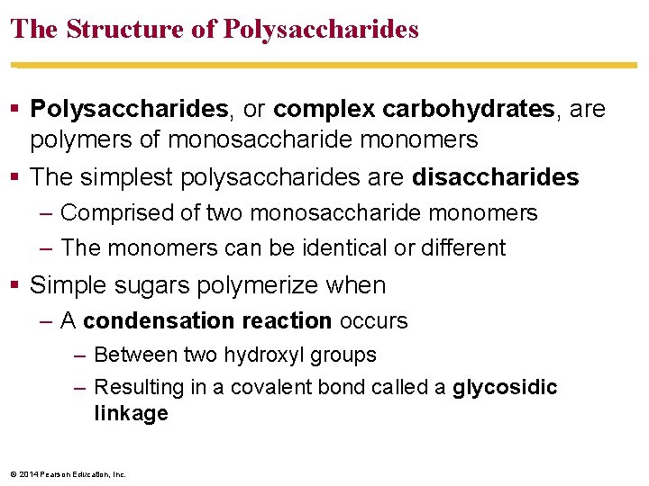 The Structure of Polysaccharides § Polysaccharides, or complex carbohydrates, are polymers of monosaccharide monomers