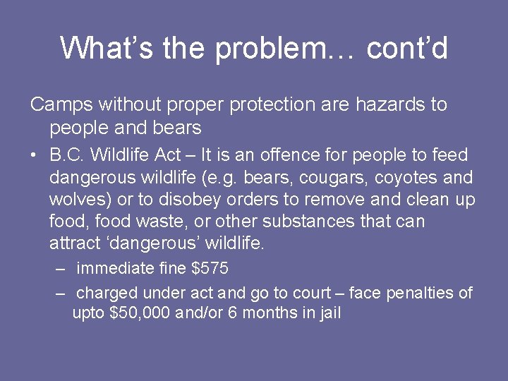 What’s the problem… cont’d Camps without proper protection are hazards to people and bears