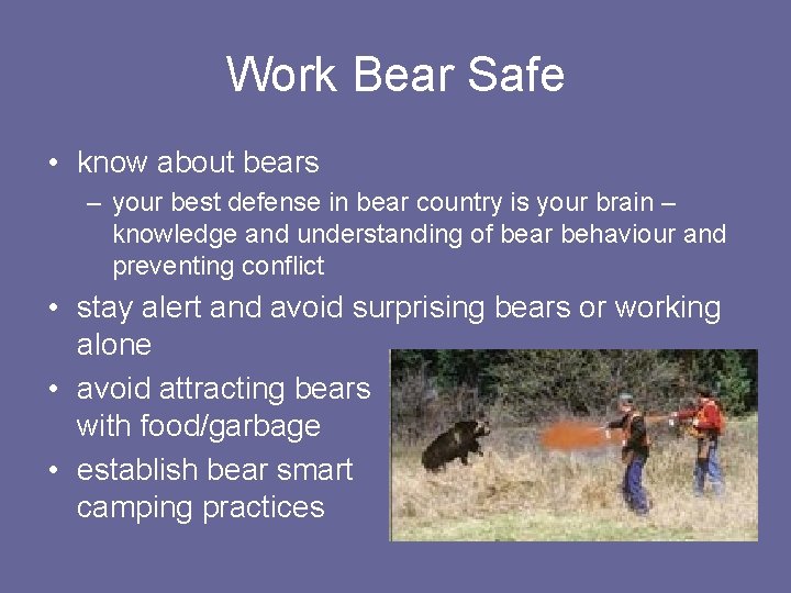 Work Bear Safe • know about bears – your best defense in bear country