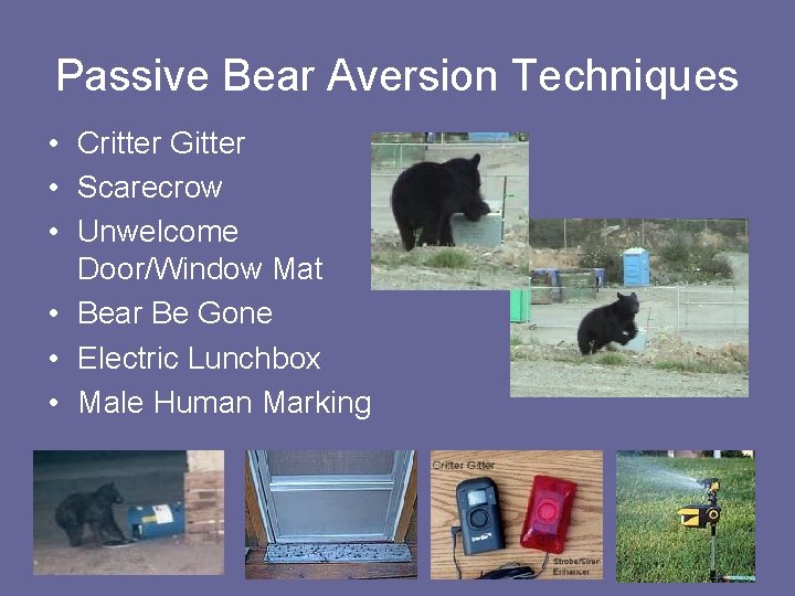 Passive Bear Aversion Techniques • Critter Gitter • Scarecrow • Unwelcome Door/Window Mat •