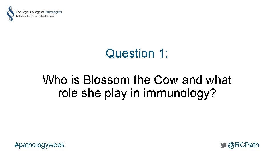 Question 1: Who is Blossom the Cow and what role she play in immunology?