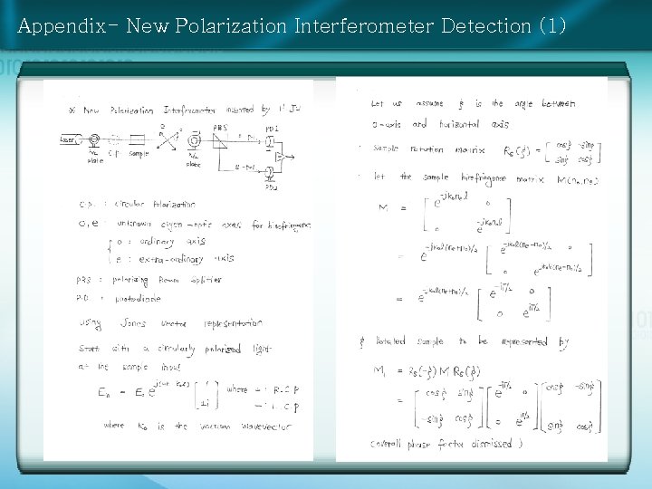 Appendix- New Polarization Interferometer Detection (1) 