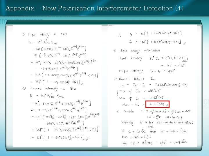 Appendix - New Polarization Interferometer Detection (4) 