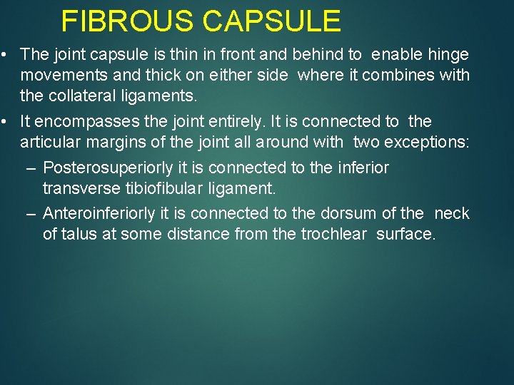 FIBROUS CAPSULE • The joint capsule is thin in front and behind to enable
