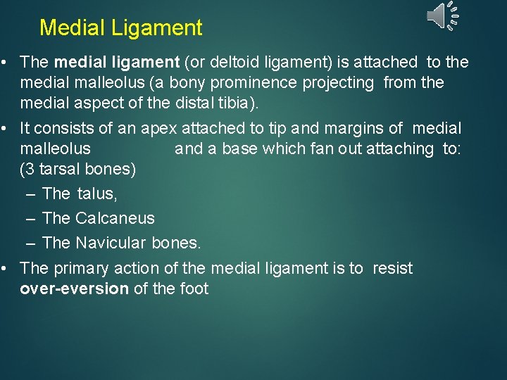 Medial Ligament • The medial ligament (or deltoid ligament) is attached to the medial