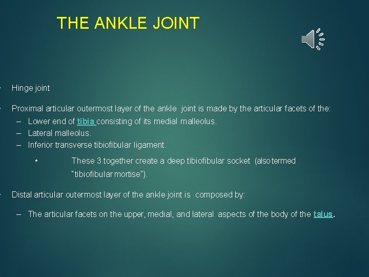 THE ANKLE JOINT • Hinge joint • Proximal articular outermost layer of the ankle