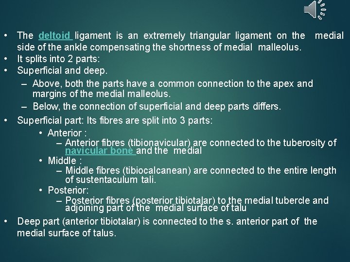  • The deltoid ligament is an extremely triangular ligament on the medial side