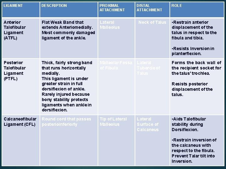 LIGAMENT DESCRIPTION PROXIMAL ATTACHMENT Anterior Talofibular Ligament (ATFL) Flat Weak Band that extends Anteriomedially.