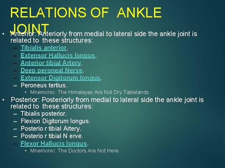  • RELATIONS OF ANKLE JOINT Anterior: Anteriorly from medial to lateral side the