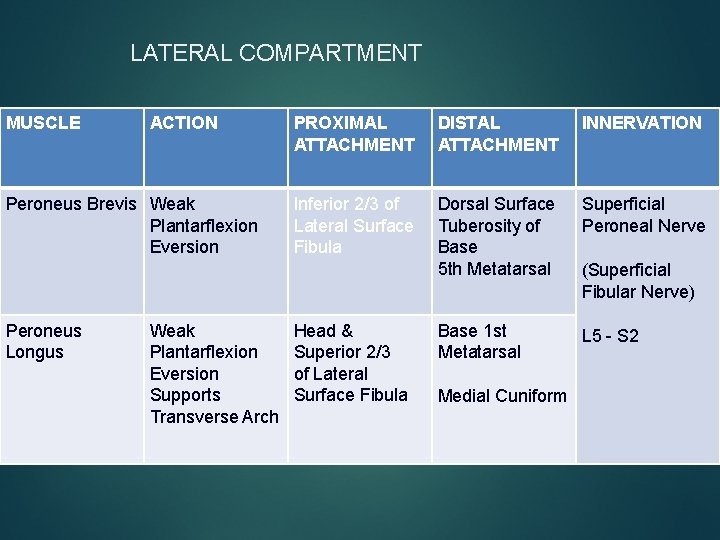 LATERAL COMPARTMENT MUSCLE ACTION Peroneus Brevis Weak Plantarflexion Eversion Peroneus Longus Weak Plantarflexion Eversion