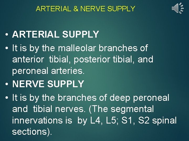 ARTERIAL & NERVE SUPPLY • ARTERIAL SUPPLY • It is by the malleolar branches