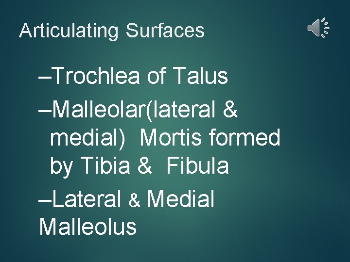 Articulating Surfaces –Trochlea of Talus –Malleolar(lateral & medial) Mortis formed by Tibia & Fibula