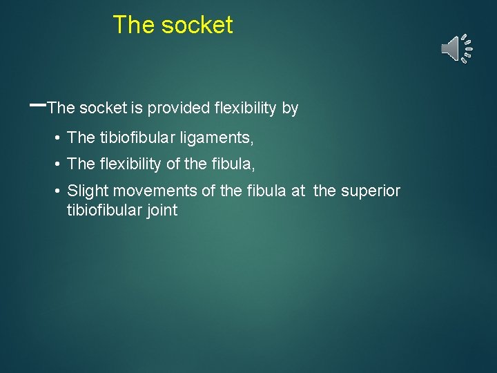 The socket –The socket is provided flexibility by • The tibiofibular ligaments, • The
