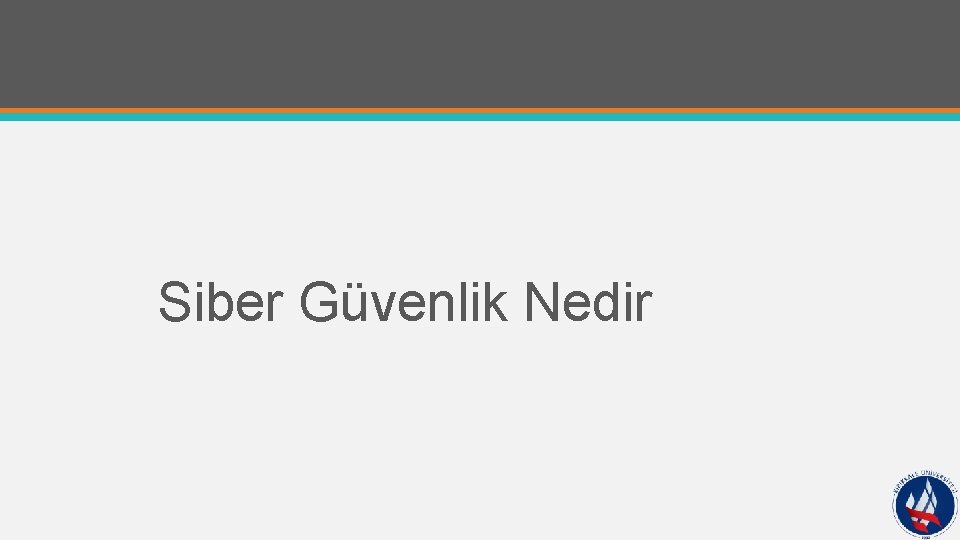 Siber Güvenlik Nedir 