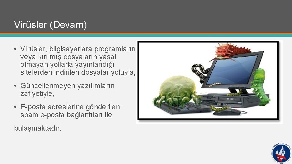 Virüsler (Devam) • Virüsler, bilgisayarlara programların veya kırılmış dosyaların yasal olmayan yollarla yayınlandığı sitelerden