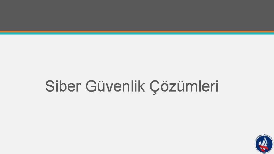 Siber Güvenlik Çözümleri 