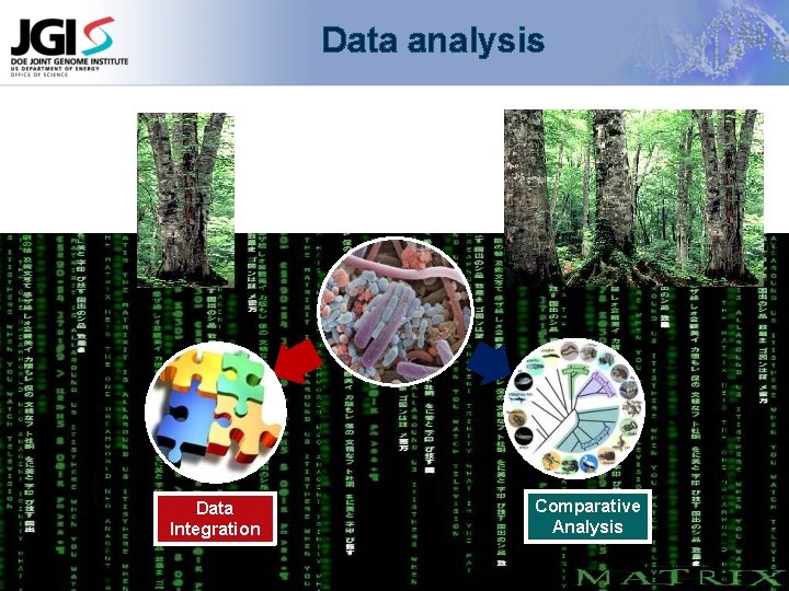 Data analysis Data Integration Comparative Analysis 