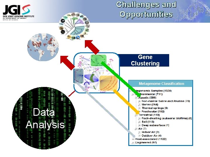 Challenges and Opportunities Gene Clustering Metagenome Classification Data Analysis 