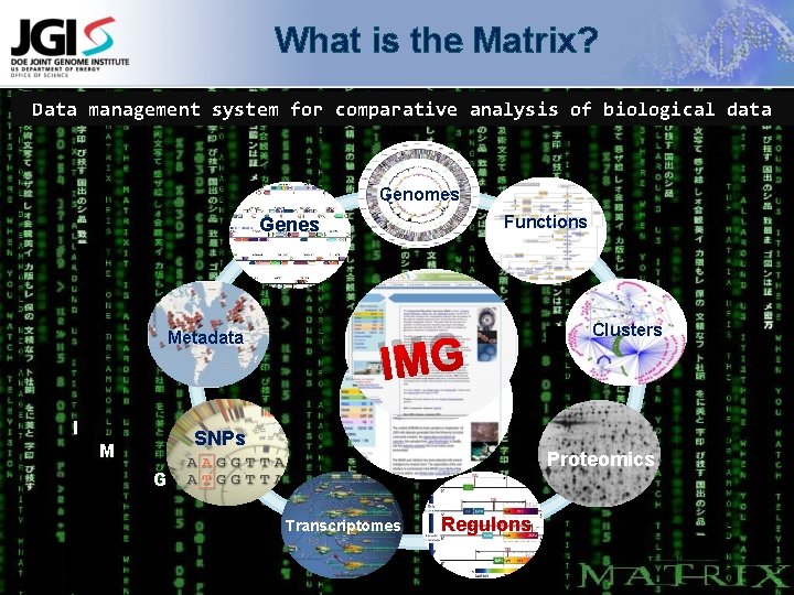 What is the Matrix? Data management system for comparative analysis of biological data Genomes