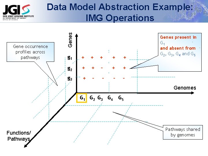 Gene occurrence profiles across pathways Genes Data Model Abstraction Example: IMG Operations g 1