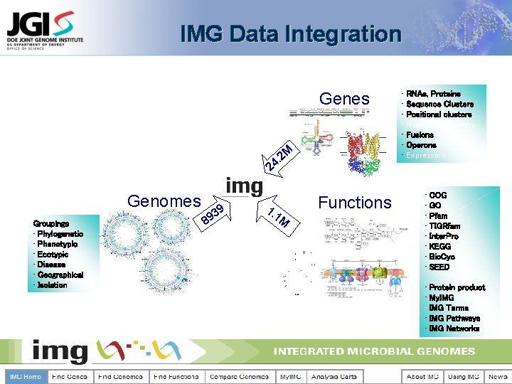 IMG Data Integration Genes 2 M . 24 Genomes Groupings • Phylogenetic • Phenotypic