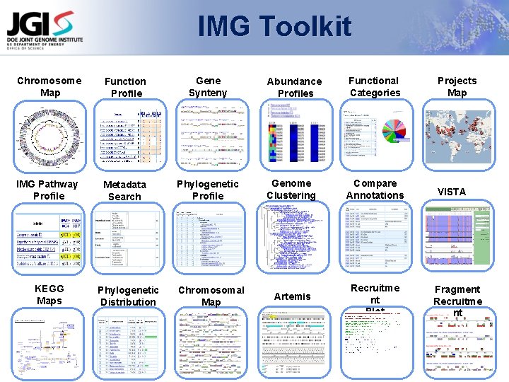 IMG Toolkit Chromosome Map Function Profile Gene Synteny IMG Pathway Profile Metadata Search Phylogenetic