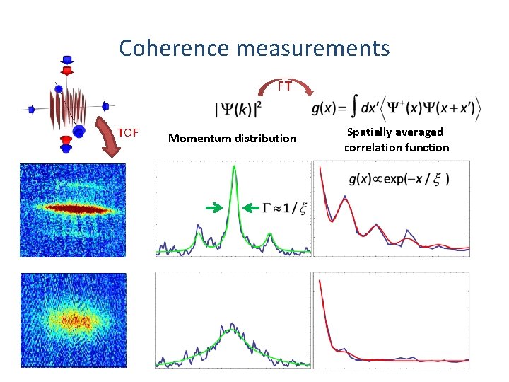 Coherence measurements FT TOF Momentum distribution Spatially averaged correlation function 
