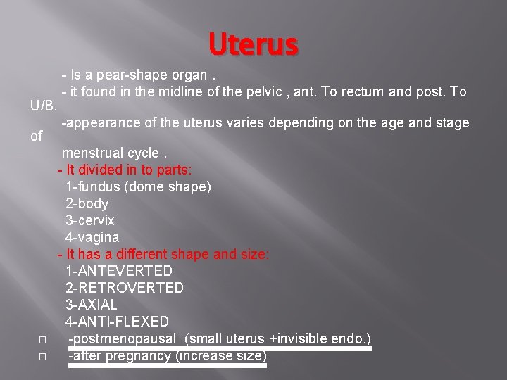 Uterus U/B. of � � - Is a pear-shape organ. - it found in