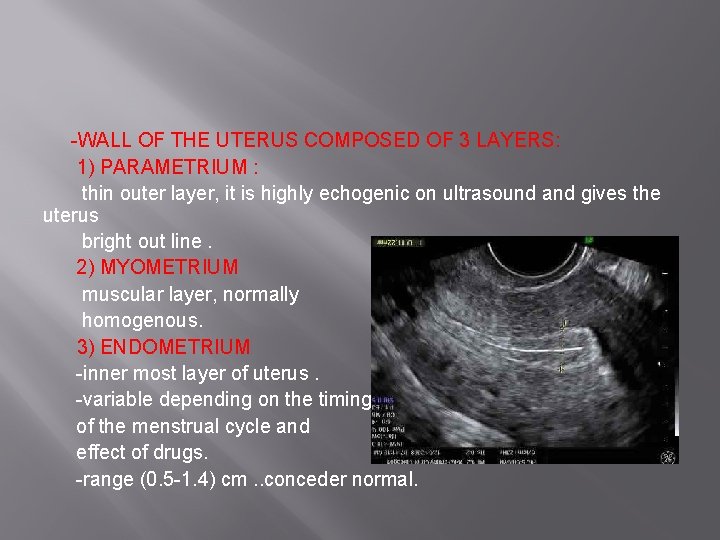 -WALL OF THE UTERUS COMPOSED OF 3 LAYERS: 1) PARAMETRIUM : thin outer layer,