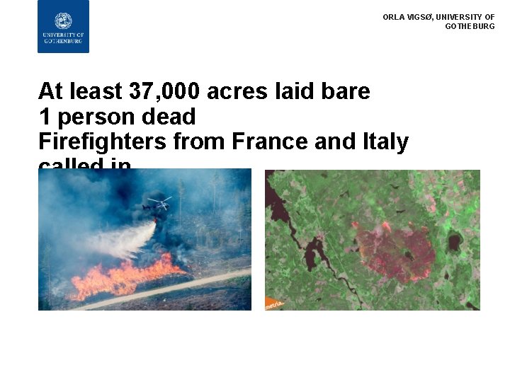 ORLA VIGSØ, UNIVERSITY OF GOTHEBURG At least 37, 000 acres laid bare 1 person