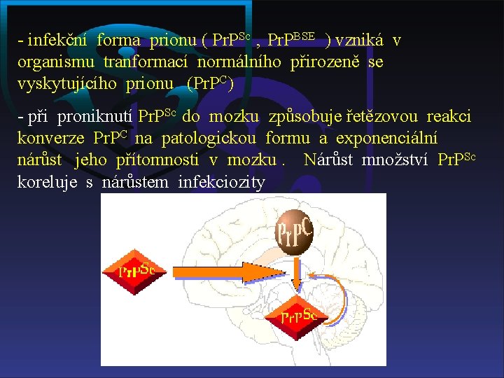 - infekční forma prionu ( Pr. PSc , Pr. PBSE ) vzniká v organismu