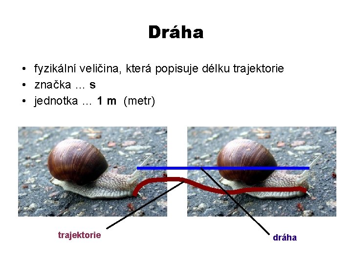 Dráha • fyzikální veličina, která popisuje délku trajektorie • značka … s • jednotka