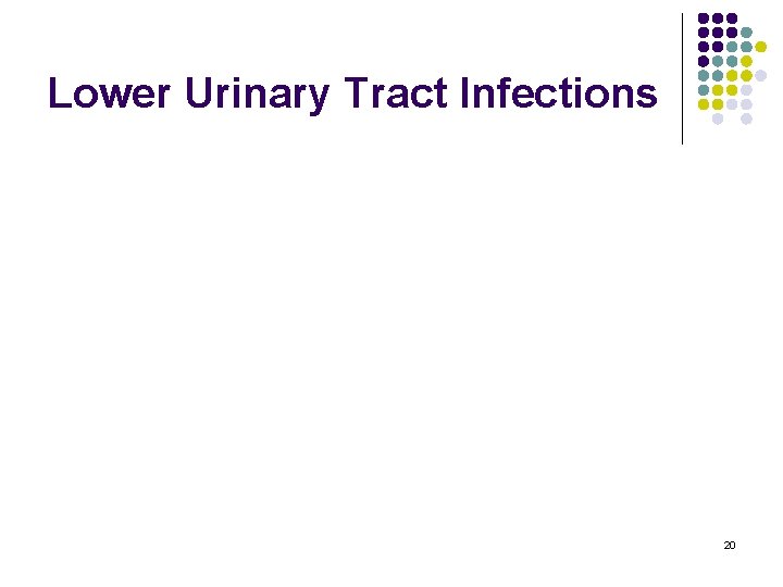 Lower Urinary Tract Infections 20 
