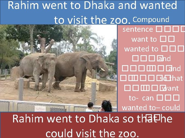 Rahim went to Dhaka and wanted to visit the zoo. Compound sentence ���� want