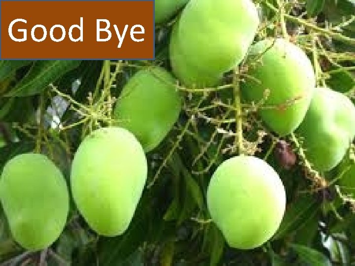 Good Bye 