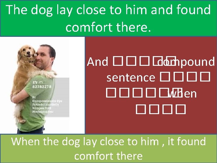The dog lay close to him and found comfort there. And ����� compound sentence