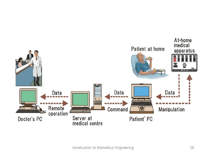 Introduction to Biomedical Engineering 28 