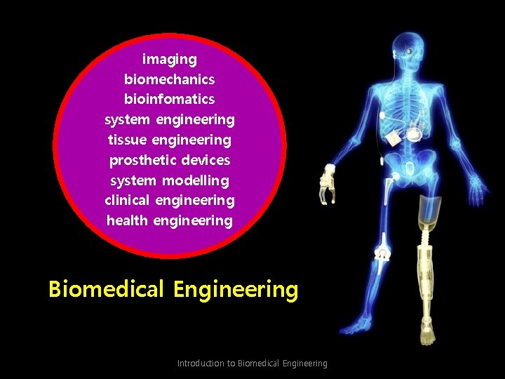 imaging biomechanics bioinfomatics system engineering tissue engineering prosthetic devices system modelling clinical engineering health