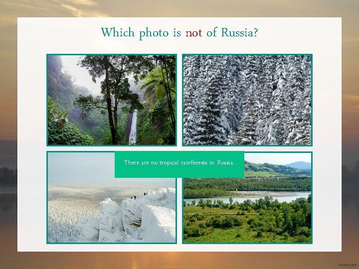 Which photo is not of Russia? There are no tropical rainforests in Russia. 