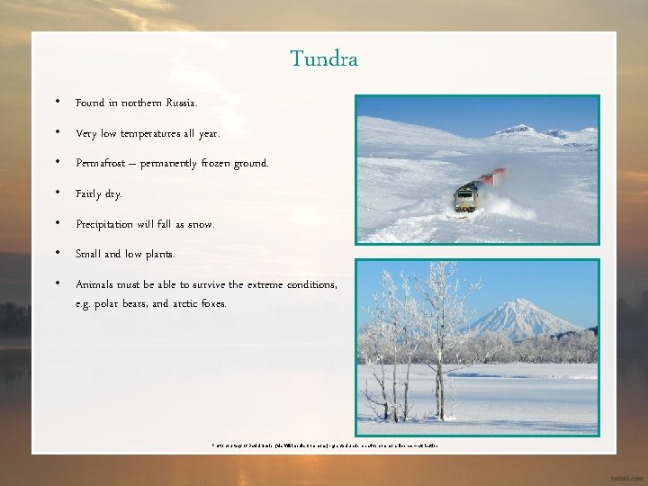 Tundra • Found in northern Russia. • Very low temperatures all year. • Permafrost