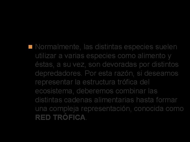 Red trófica Normalmente, las distintas especies suelen utilizar a varias especies como alimento y