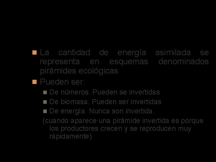 Pirámides ecológicas La cantidad de energía asimilada se representa en esquemas denominados pirámides ecológicas