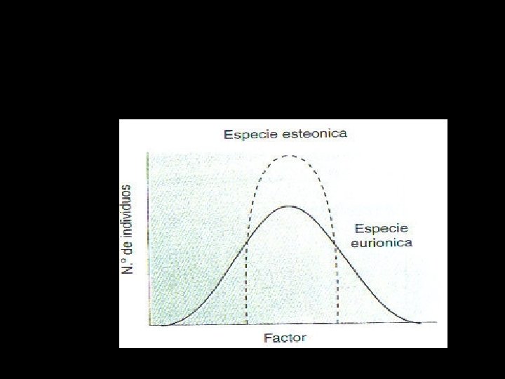 Especies esteno- y euri- 