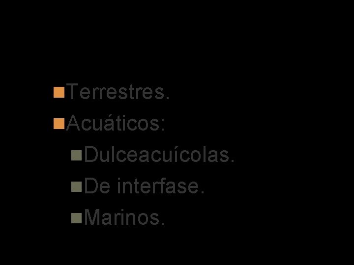 Tipos de biomas Terrestres. Acuáticos: Dulceacuícolas. De interfase. Marinos. 