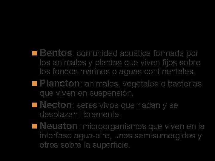 Organismos que viven en el agua Bentos: comunidad acuática formada por los animales y