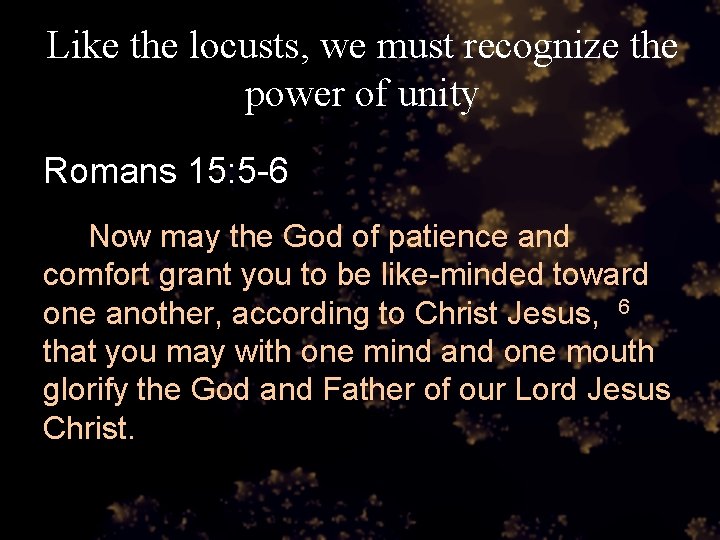 Like the locusts, we must recognize the power of unity Romans 15: 5 -6