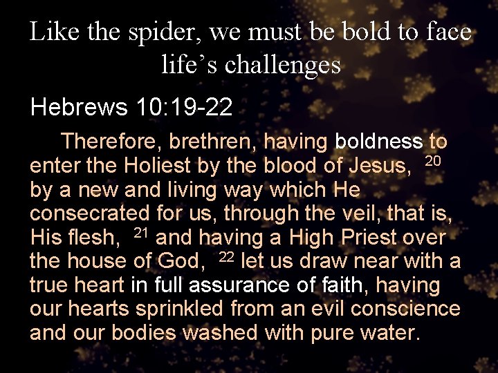 Like the spider, we must be bold to face life’s challenges Hebrews 10: 19